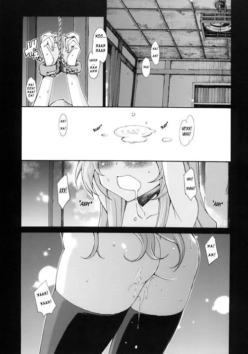 Taiga no Jyozuna Shitsukekata