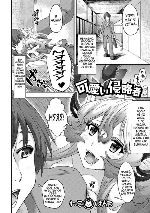Kawaii Shinryakusha